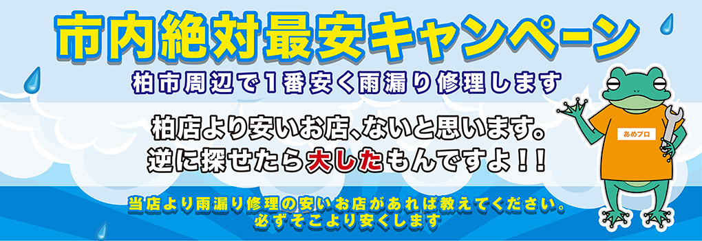 国内絶対最安キャンペーン